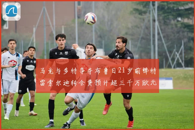马竞与多特争夺布鲁日21岁前锋特雷索尔迪转会费预计超三千万欧元